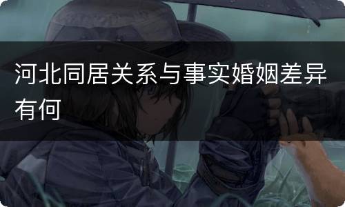 河北同居关系与事实婚姻差异有何