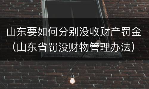 山东要如何分别没收财产罚金（山东省罚没财物管理办法）