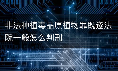 非法种植毒品原植物罪既遂法院一般怎么判刑
