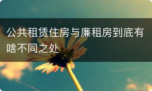 公共租赁住房与廉租房到底有啥不同之处
