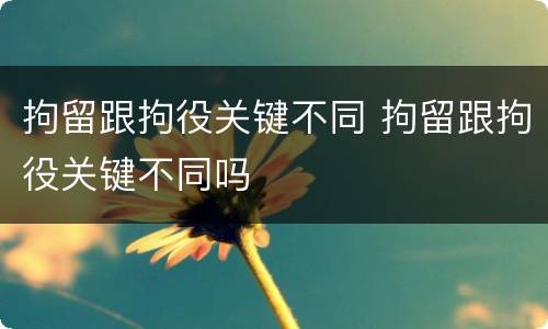 拘留跟拘役关键不同 拘留跟拘役关键不同吗