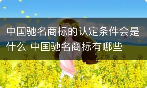中国驰名商标的认定条件会是什么 中国驰名商标有哪些