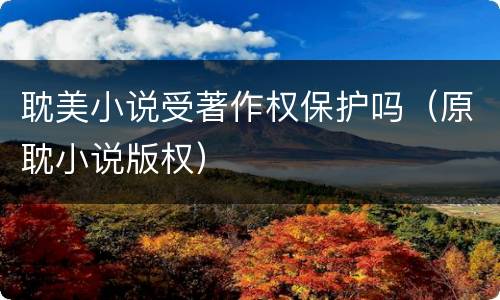耽美小说受著作权保护吗（原耽小说版权）