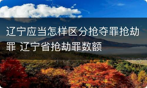 辽宁应当怎样区分抢夺罪抢劫罪 辽宁省抢劫罪数额
