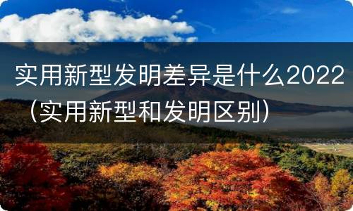 实用新型发明差异是什么2022（实用新型和发明区别）