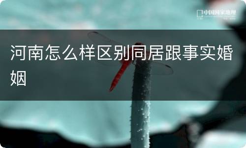 河南怎么样区别同居跟事实婚姻