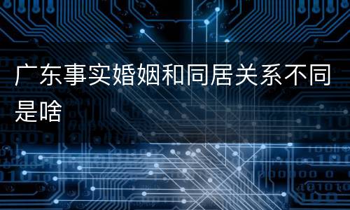 广东事实婚姻和同居关系不同是啥