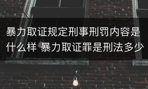 暴力取证规定刑事刑罚内容是什么样 暴力取证罪是刑法多少条