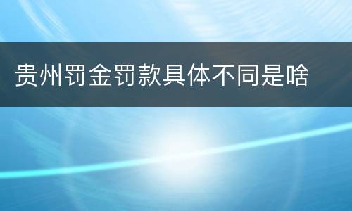 贵州罚金罚款具体不同是啥
