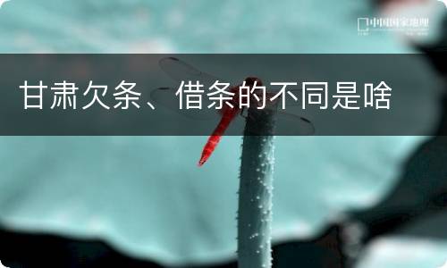 甘肃欠条、借条的不同是啥