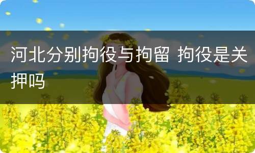河北分别拘役与拘留 拘役是关押吗