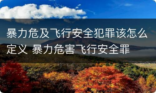 暴力危及飞行安全犯罪该怎么定义 暴力危害飞行安全罪