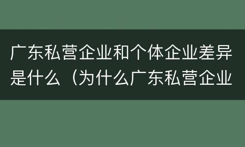 广东私营企业和个体企业差异是什么（为什么广东私营企业那么少）