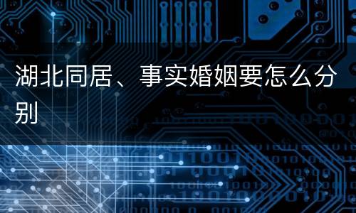 湖北同居、事实婚姻要怎么分别