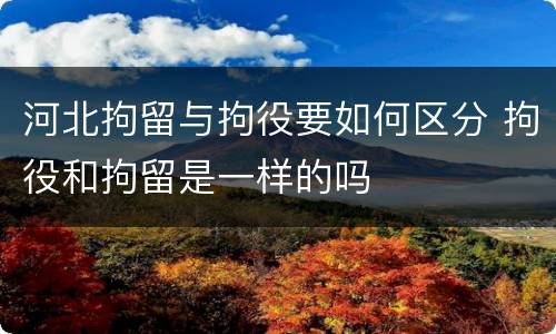河北拘留与拘役要如何区分 拘役和拘留是一样的吗