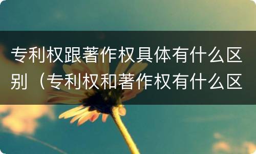 专利权跟著作权具体有什么区别（专利权和著作权有什么区别）