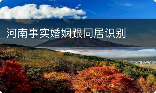 河南事实婚姻跟同居识别