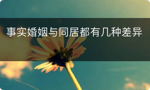 事实婚姻与同居都有几种差异