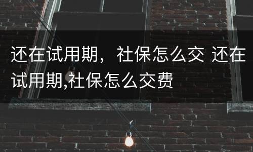 还在试用期，社保怎么交 还在试用期,社保怎么交费