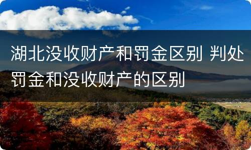 湖北没收财产和罚金区别 判处罚金和没收财产的区别