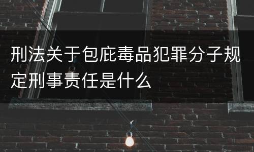 刑法关于包庇毒品犯罪分子规定刑事责任是什么