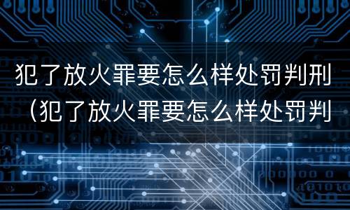 犯了放火罪要怎么样处罚判刑（犯了放火罪要怎么样处罚判刑吗）