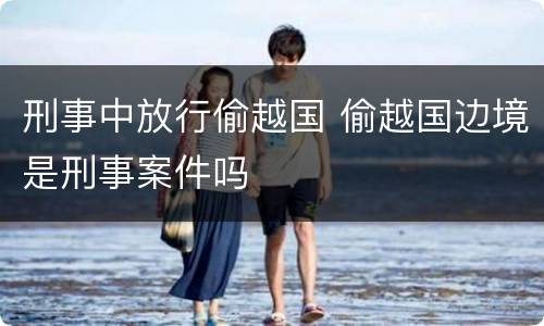 刑事中放行偷越国 偷越国边境是刑事案件吗