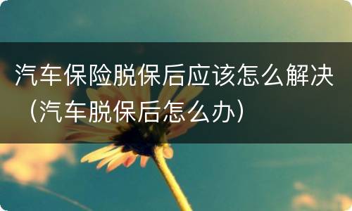 汽车保险脱保后应该怎么解决（汽车脱保后怎么办）