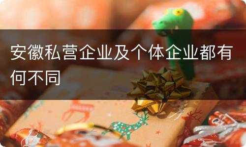 安徽私营企业及个体企业都有何不同