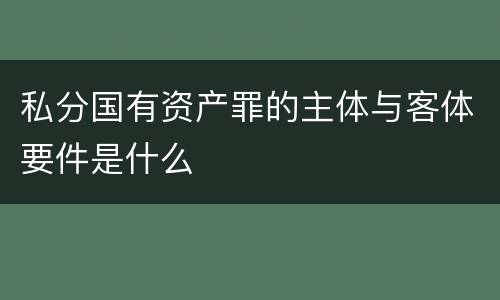 私分国有资产罪的主体与客体要件是什么