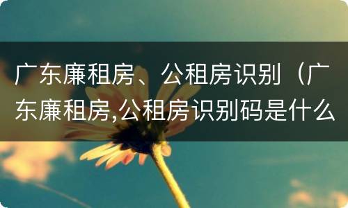 广东廉租房、公租房识别（广东廉租房,公租房识别码是什么）