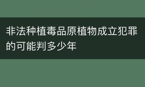 非法种植毒品原植物成立犯罪的可能判多少年
