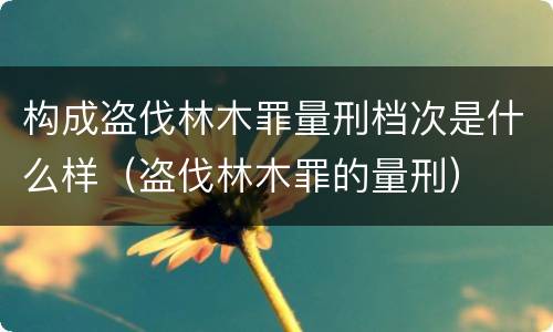 构成盗伐林木罪量刑档次是什么样（盗伐林木罪的量刑）