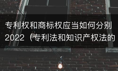 专利权和商标权应当如何分别2022（专利法和知识产权法的区别）