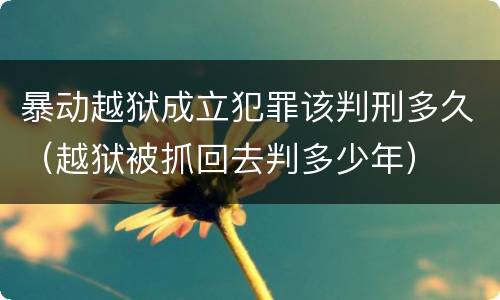 暴动越狱成立犯罪该判刑多久（越狱被抓回去判多少年）