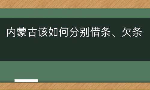内蒙古该如何分别借条、欠条