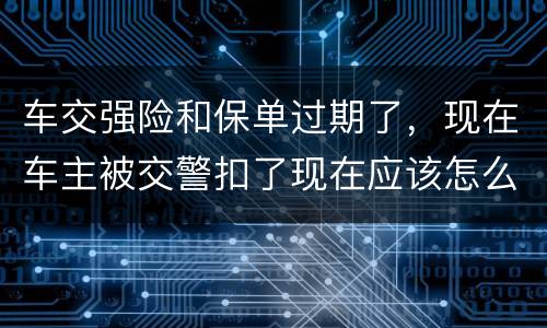 车交强险和保单过期了，现在车主被交警扣了现在应该怎么办