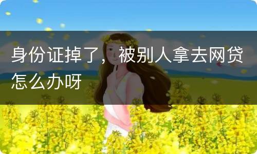 身份证掉了，被别人拿去网贷怎么办呀