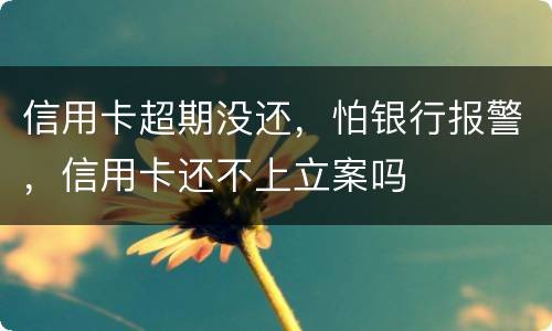 信用卡超期没还，怕银行报警，信用卡还不上立案吗