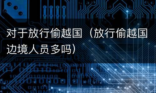 对于放行偷越国（放行偷越国边境人员多吗）