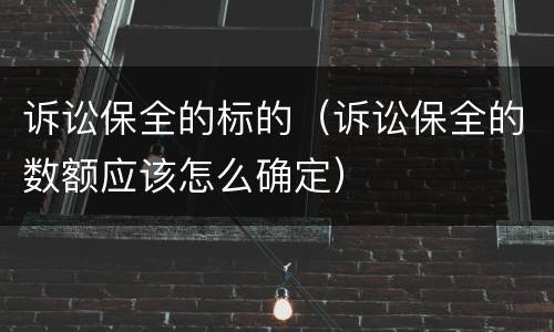 诉讼保全的标的（诉讼保全的数额应该怎么确定）