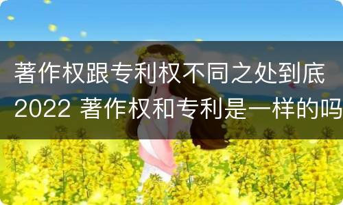 著作权跟专利权不同之处到底2022 著作权和专利是一样的吗