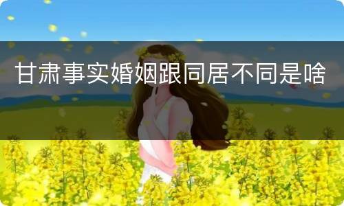甘肃事实婚姻跟同居不同是啥