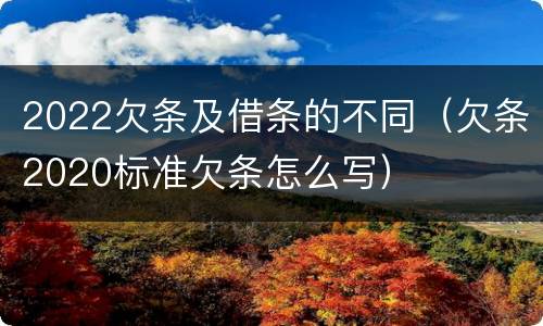 2022欠条及借条的不同（欠条2020标准欠条怎么写）