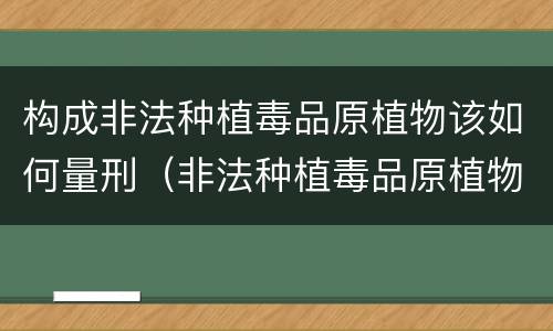 构成非法种植毒品原植物该如何量刑（非法种植毒品原植物罪情节严重的三种情形）