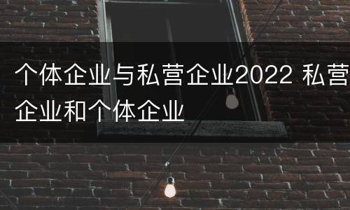 个体企业与私营企业2022 私营企业和个体企业