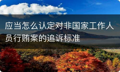 应当怎么认定对非国家工作人员行贿案的追诉标准