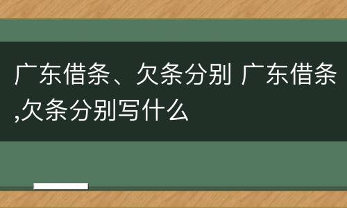 广东借条、欠条分别 广东借条,欠条分别写什么