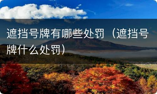 遮挡号牌有哪些处罚（遮挡号牌什么处罚）