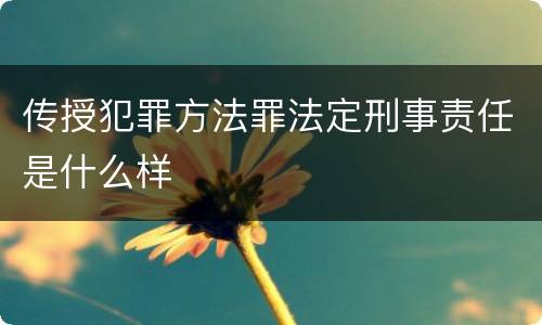 传授犯罪方法罪法定刑事责任是什么样